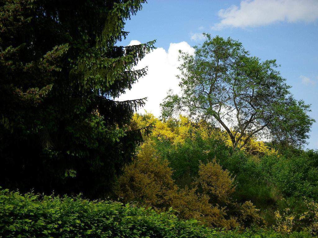 Auszeit Am Eifelsteig Hotel Daun Bagian luar foto