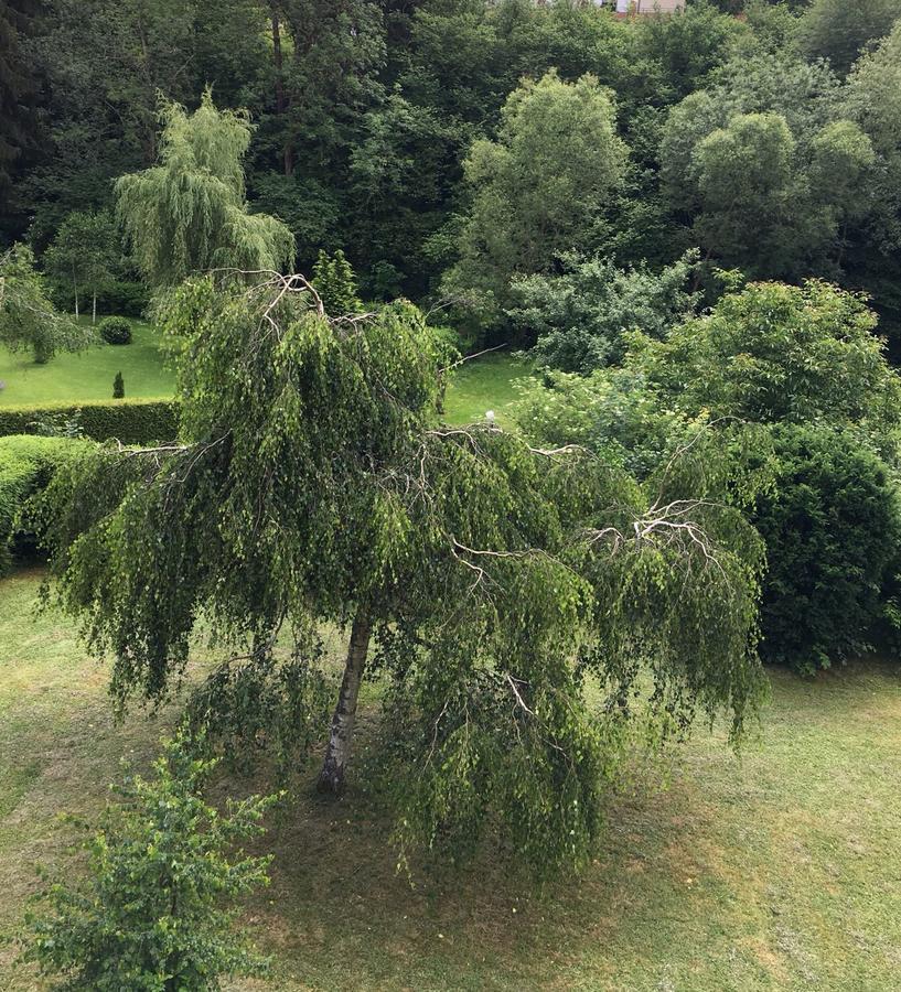 Auszeit Am Eifelsteig Hotel Daun Bagian luar foto