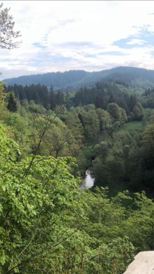 Auszeit Am Eifelsteig Hotel Daun Bagian luar foto